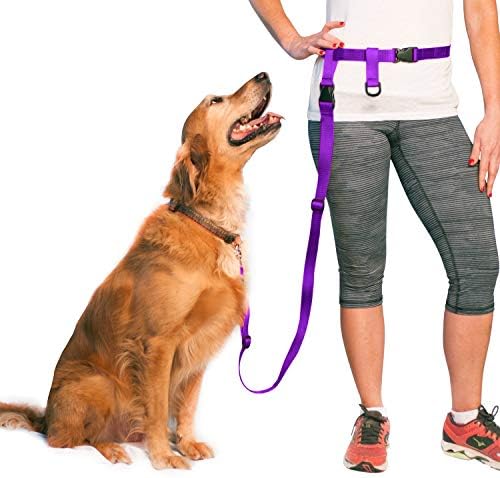 מערכת Buddy ידיים רצועת כלבים בחינם חבר נוסף וחגורה רגילה לריצה, ריצה, הליכה, טיולים רגליים ואילוף