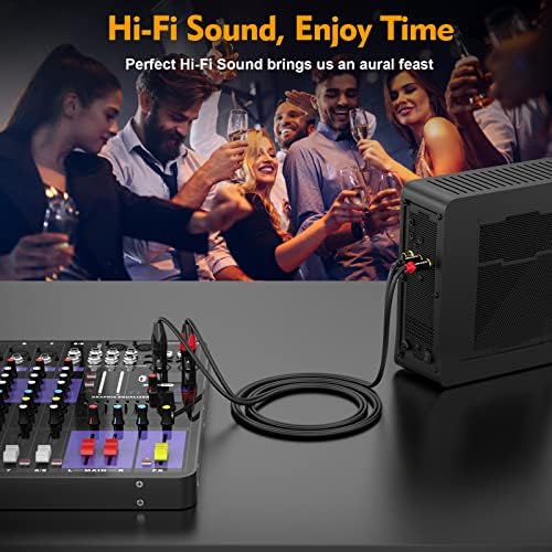 Hosongin Professional XLR ל- RCA Audio כבל 10 רגל - מוליכים בעלי טוהר גבוה, עיצוב הפחתת רעש, עמיד,