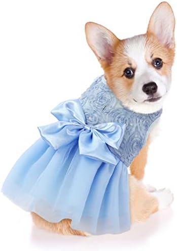 שמלת כלב של אסנקו שמלת כלה מחמד שמלת כלה נסיכה תחרה תלבושת מסיבת יום הולדת לילדה לבוש רשמי לחתולי כלבים בינוניים