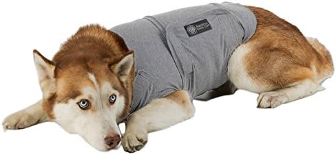BH Gear Pet Pet Coat Coat, חיל הים, 16-23 /קטן