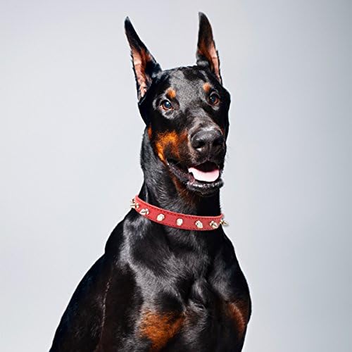 נהנה מצווארון כלבים ממוסמר ספייק צווארון כלב עור צווארון חיית מחמד מתכוונן, אדום גדול