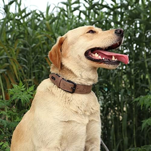 דידוג צווארון כלבי עור מרופד רך, עור צווארון כלבים כבד נושם עם אבזם מתכת הניתן לחלודה מתכוונן