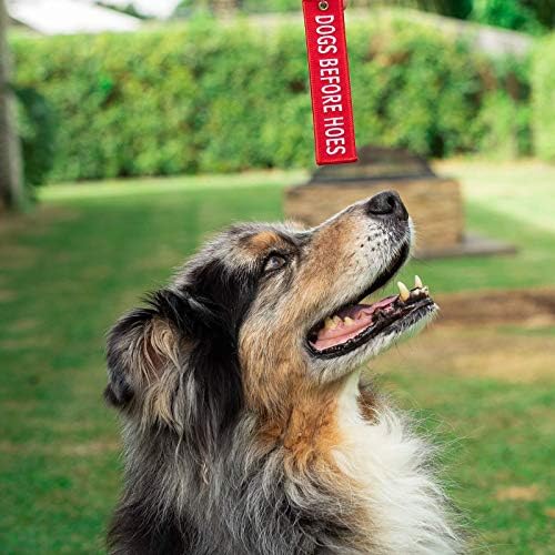 מוטו לוט כלב מחזיק מפתחות גור גור גור תגי טבעת מפתח למפתחות, מתנה, הווה וחובב כלבים