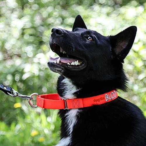 Dogids רקום מרטינגייל ניילון צווארון כלבים - מותאם אישית, עמיד, עמיד, בהתאמה אישית, בטוח, אימונים,